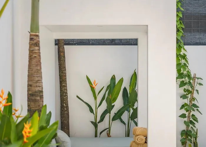 Vantage 7 - Outstanding 3 Bedroom - Great Location! Villa Canggu (Bali)